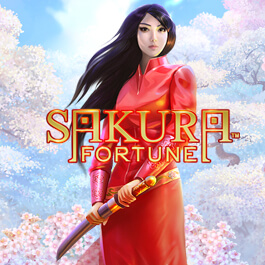 Sakura Fortune Sakura Fortune