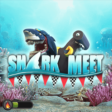 Shark Meet Shark Meet