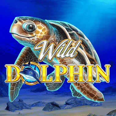 Wild Dolphin Wild Dolphin