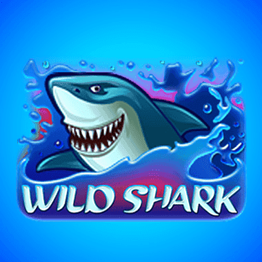 Wild Shark Wild Shark