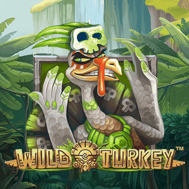 Wild Turkey Wild Turkey