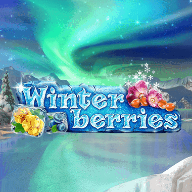 Winterberries Winterberries